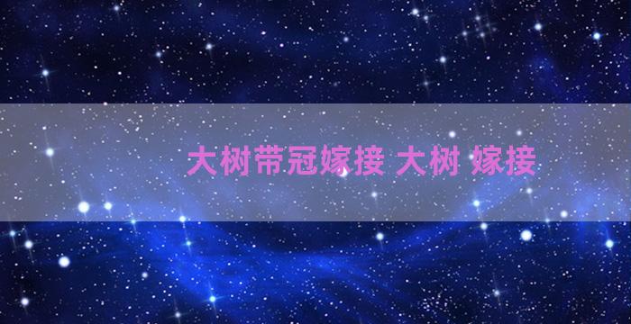 大树带冠嫁接 大树 嫁接